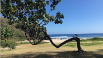 Plage du petit boucan à St Gilles